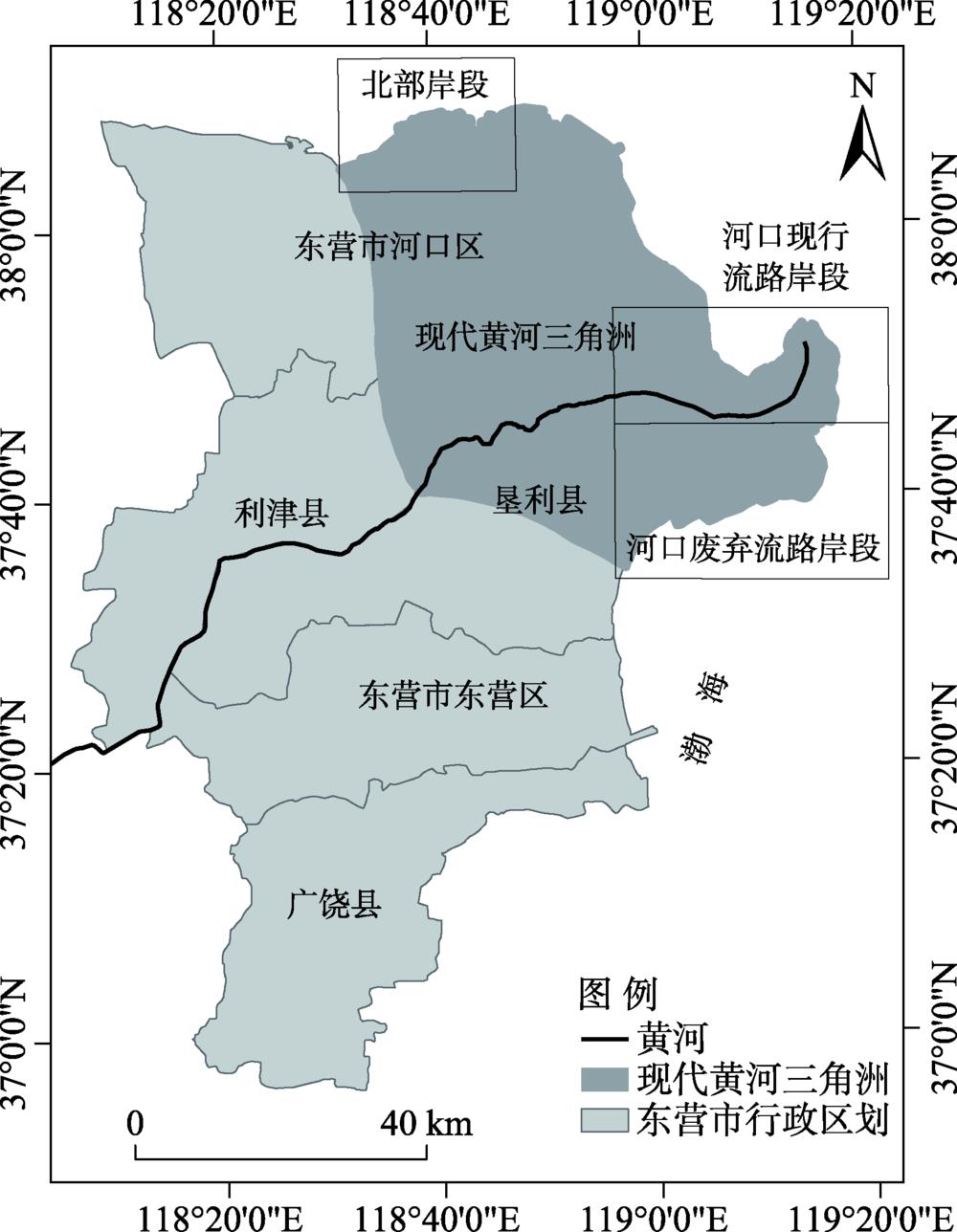 黄河三角洲区域位置Figure 1